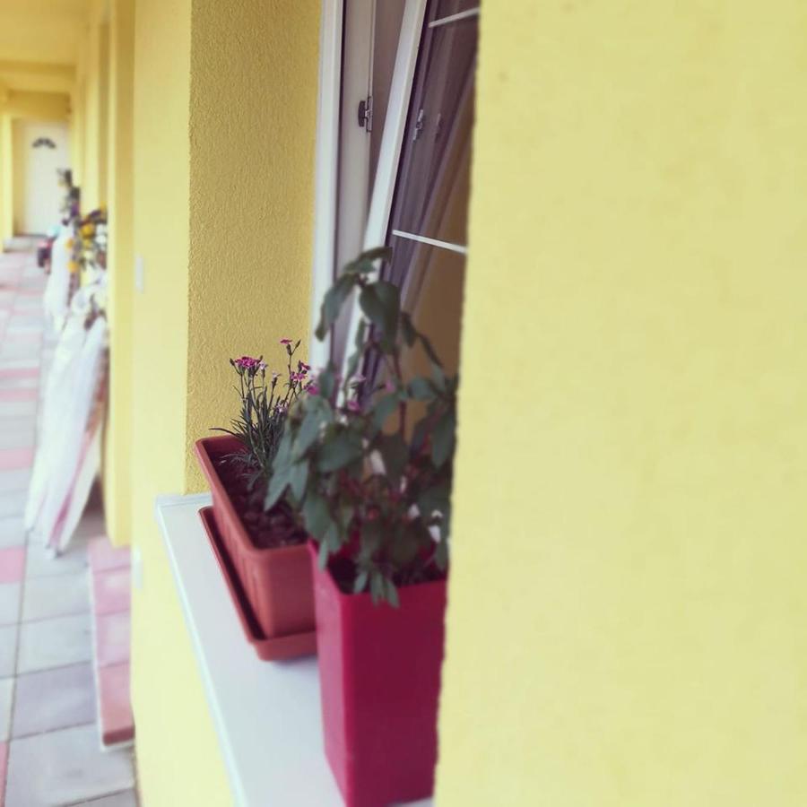 Zlatno 66 Bed & Breakfast Zlate Moravce Ngoại thất bức ảnh
